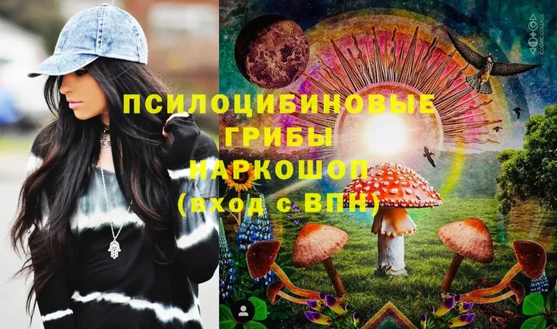 хочу   Волоколамск  Псилоцибиновые грибы Psilocybine cubensis 